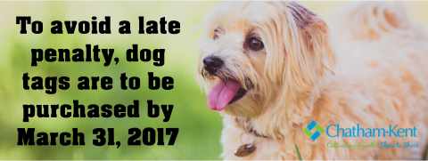 CHATHAM-KENT-DOG-TAG-2017