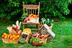 organic-veggies-chair-2