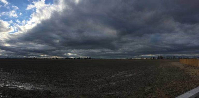 Order your ‘Box Lunch’, blood donor clinic, weather, world news