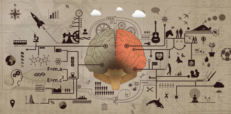Learning and Education - Brain Functions Development Concept