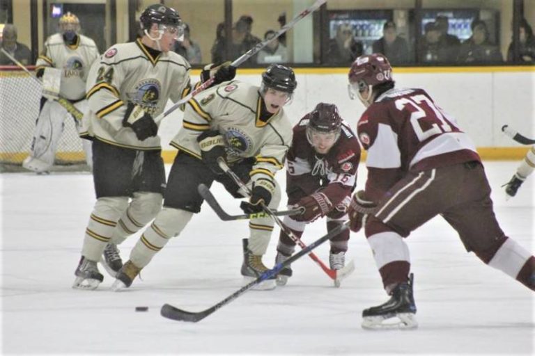 Wallaceburg Lakers sold to local investors