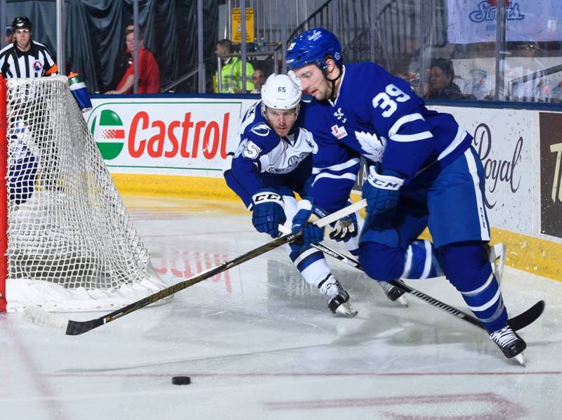 (Toronto Marlies)