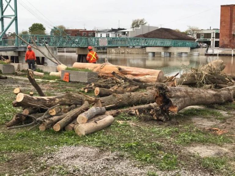 Big Bike, refugee gala, Sydenham River cleaned up