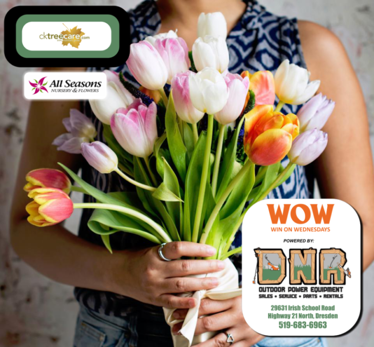 WOW! CK Tree Care giving away $100 All Seasons gift card!
