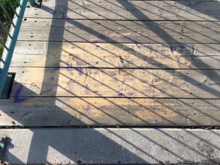 Stopping graffiti in Wallaceburg, 4-way stop poll, Lions BBQ