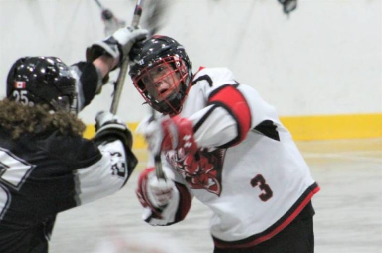 Wallaceburg Red Devils drop two games on the weekend