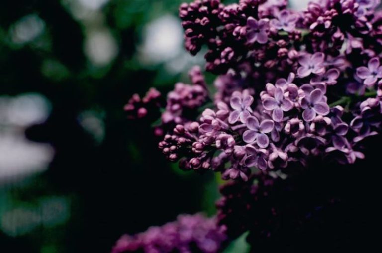 Mothers’ Day, God’s Way