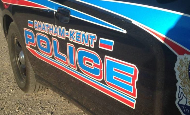 Punch leads to assault charges in Dresden
