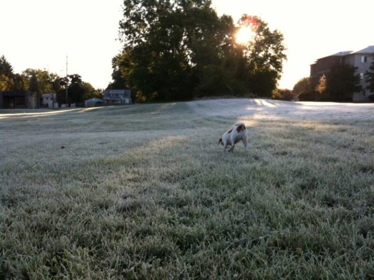 Frost advisory remain in effect