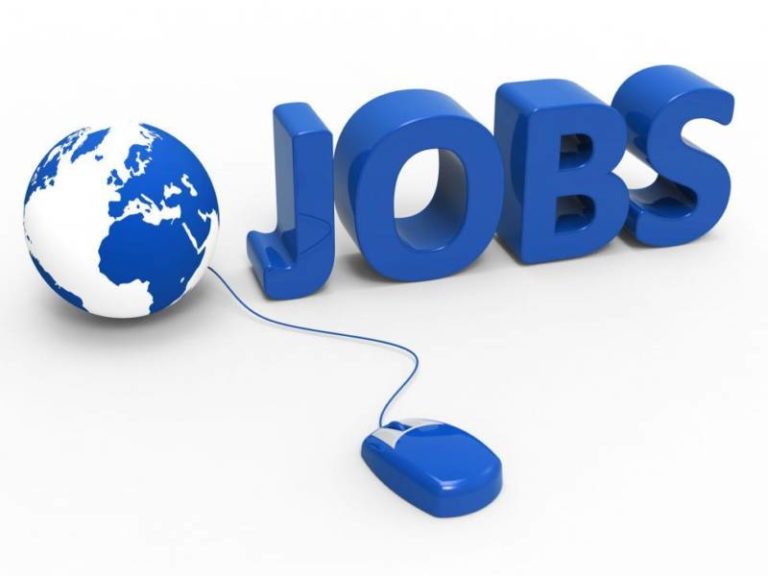 YA tripling work force in Chatham-Kent, adding 225 jobs