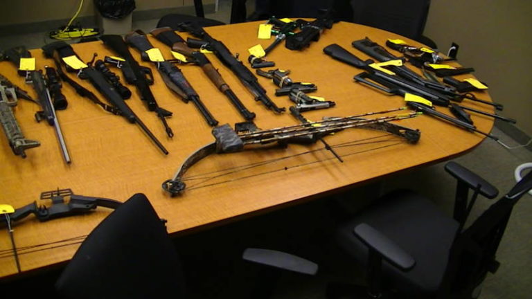 $11,000 worth of drugs and guns seized on Moraviantown