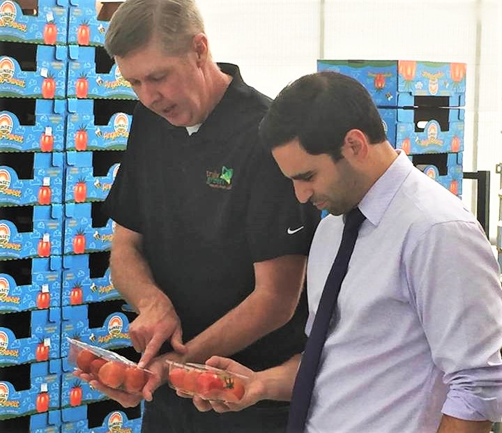 Chatham greenhouse boost, workplace wellness, turkey thawing