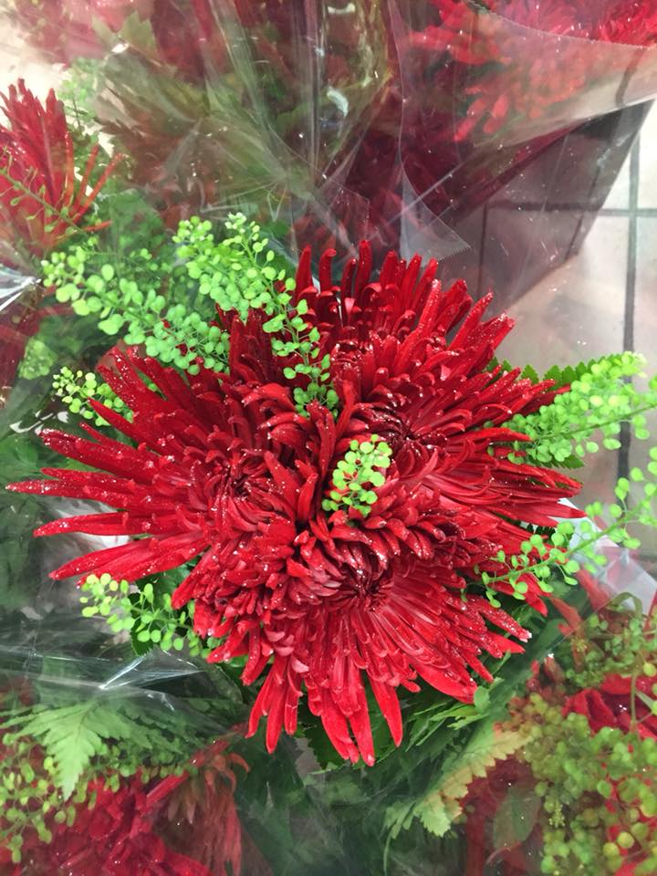 Friday Special at Westbrook's Flower Shoppe