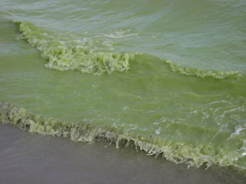 New phosphorus technologies set to clean up Lake Erie | Wallaceburg ...