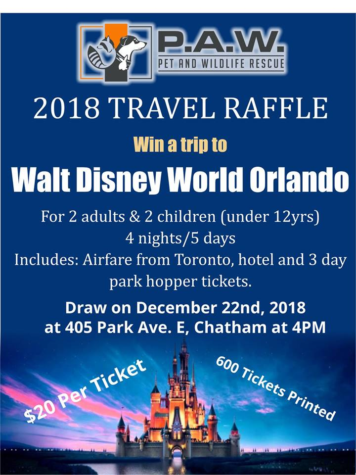 Click here to Win a Trip to Walt Disney World from P.A.W!