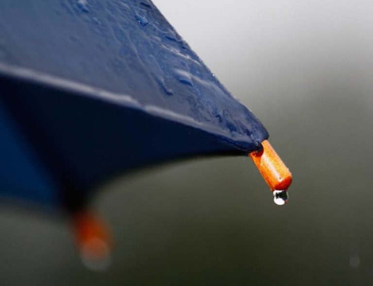 Showers, thunderstorms, high 25°C, humidex 31°C