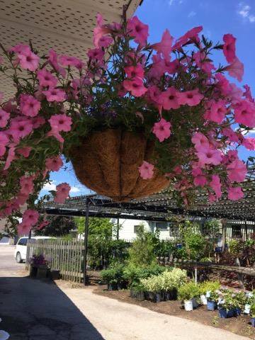 All Seasons Nursery and Flowers Spring Open House is May 4.