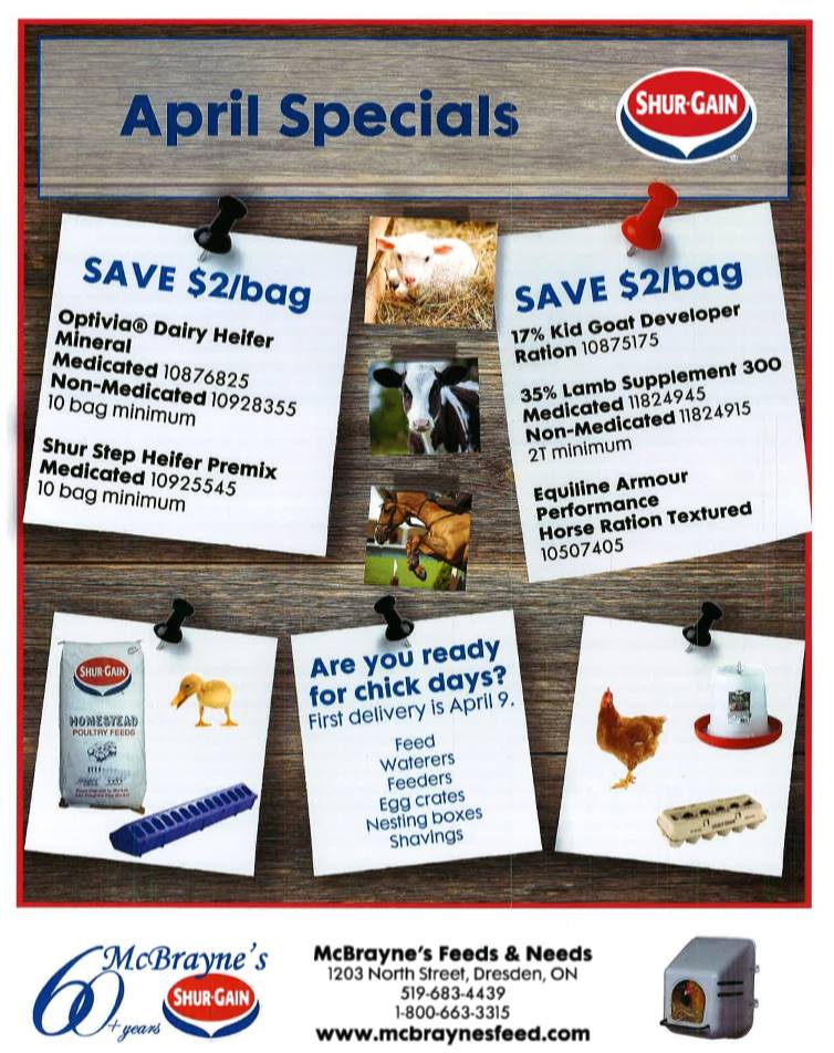 This image has an empty alt attribute; its file name is flyer.jpg