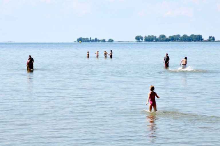 ‘Beach bus’ getting under way