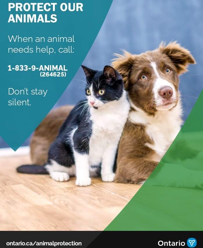 New Animal Cruelty contact number
