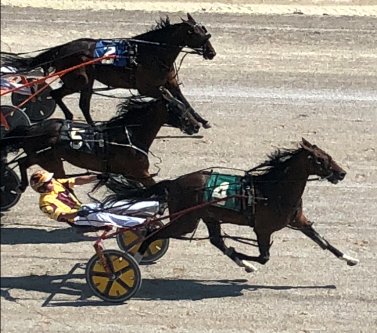 ‘Premier Rockstar’ wins Mark Austin Pacing Series