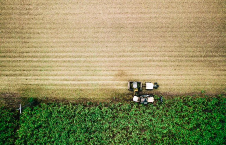 Ontario to Improve Crop Production