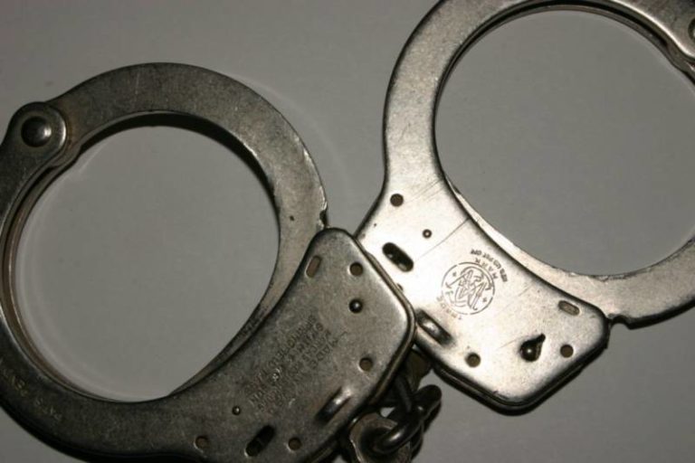 Outstanding warrant for failing to attend court executed in Wallaceburg