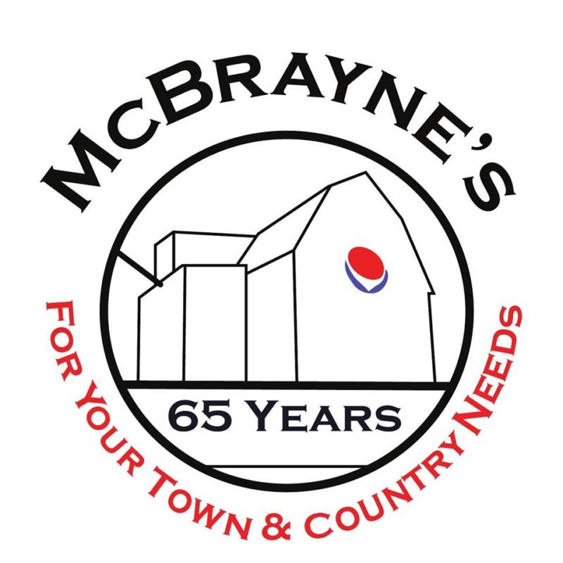 mcbraynes - logo