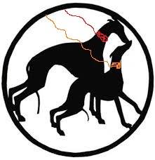 Dresden Pet Nail Clinic – we come to you and your pets.