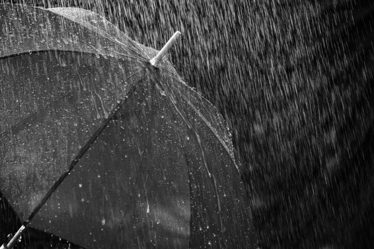 Special weather statement, significant rainfall expected, 40 km/h wind gusts, high 6°C