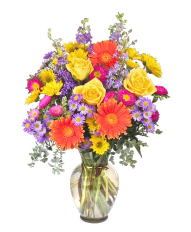 All Seasons Nursery And Flowers