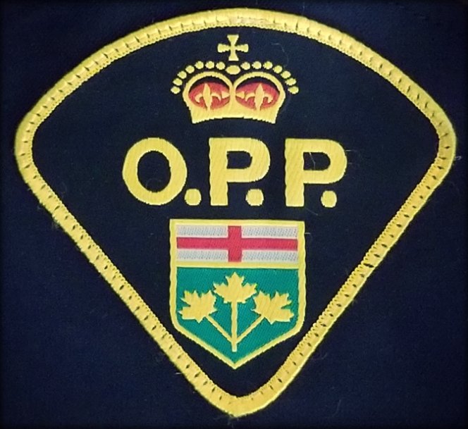 Update: Firearm charges laid on Walpole