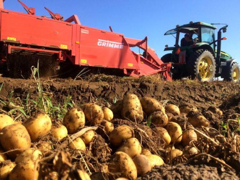 Fresh from Farm Fundraiser for Ontario Schools