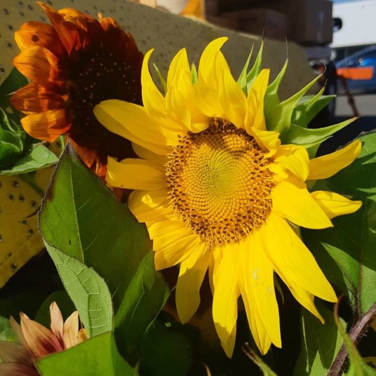 Wallaceburg Farmers Market is this Saturday!