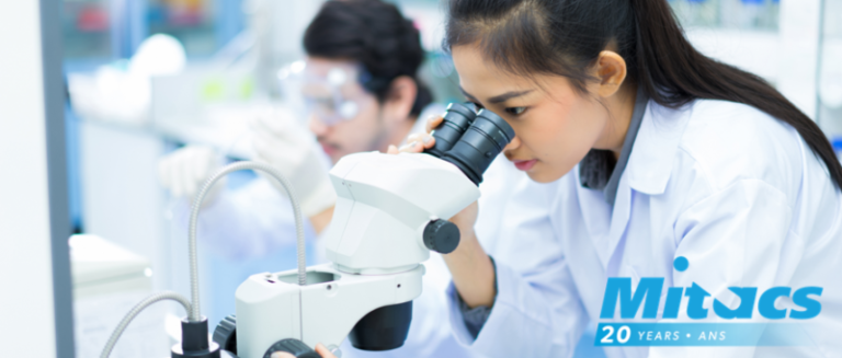 Research internship program comes to CK