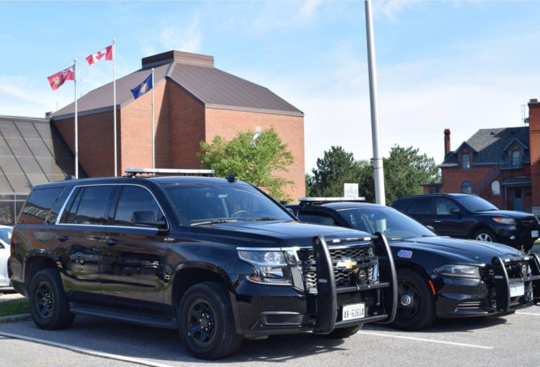 Police: Executed warrants, B&E in Ridgetown