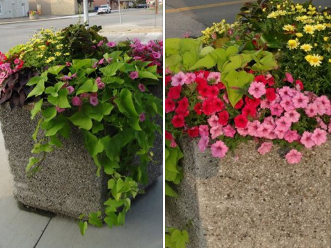 Free Planters from the Downtown Wallaceburg BIA