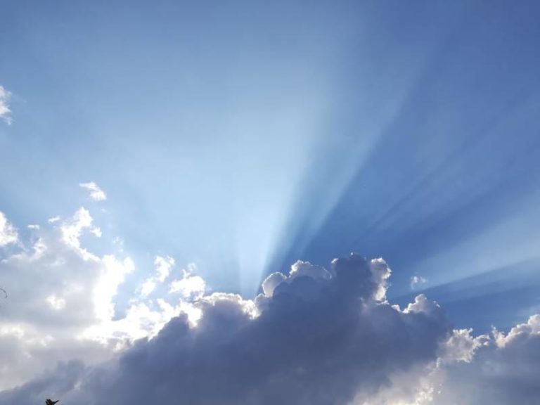 Mix of sun & cloud, chance of showers & thunderstorm, high 16°C