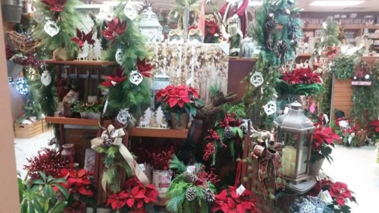 Let us help decorate for the Holidays!