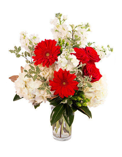 All Season Nursery and Flowers