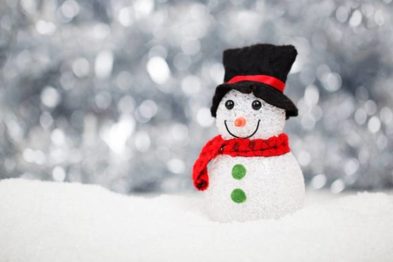 Happy Holidays from Burnett’s Cycle and Mower
