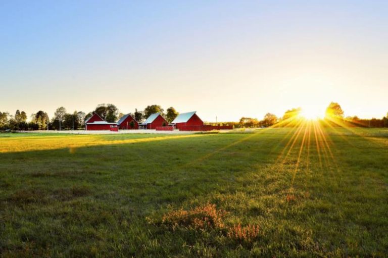 Protecting Environmentally Sustainable Agri-Food Production