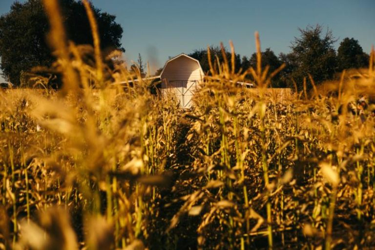 Helping Ontario farmers improve the environment