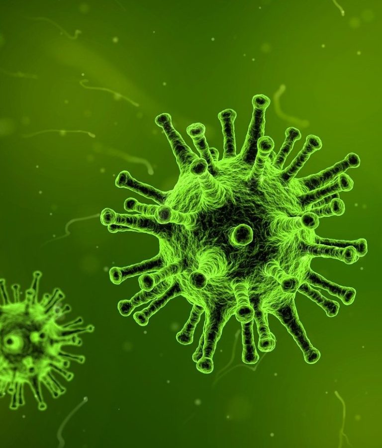 No new COVID-19 cases in C-K for fourth straight day