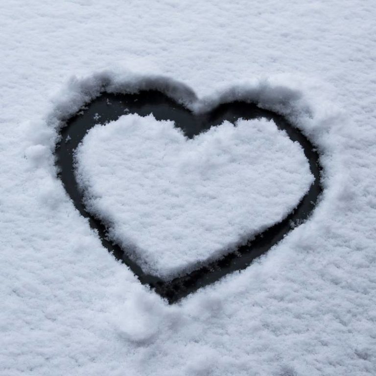 Mainly sunny, wind chill -24°C this morning, high -7°C