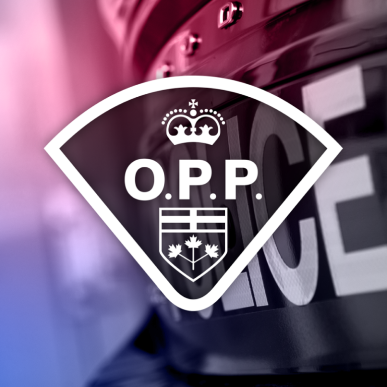 Chatham-Kent OPP: Pedestrian dies after being hit by a transport on the 401