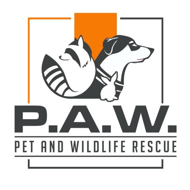 Current PAWR operations