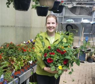 All Seasons Nursery and Flowers