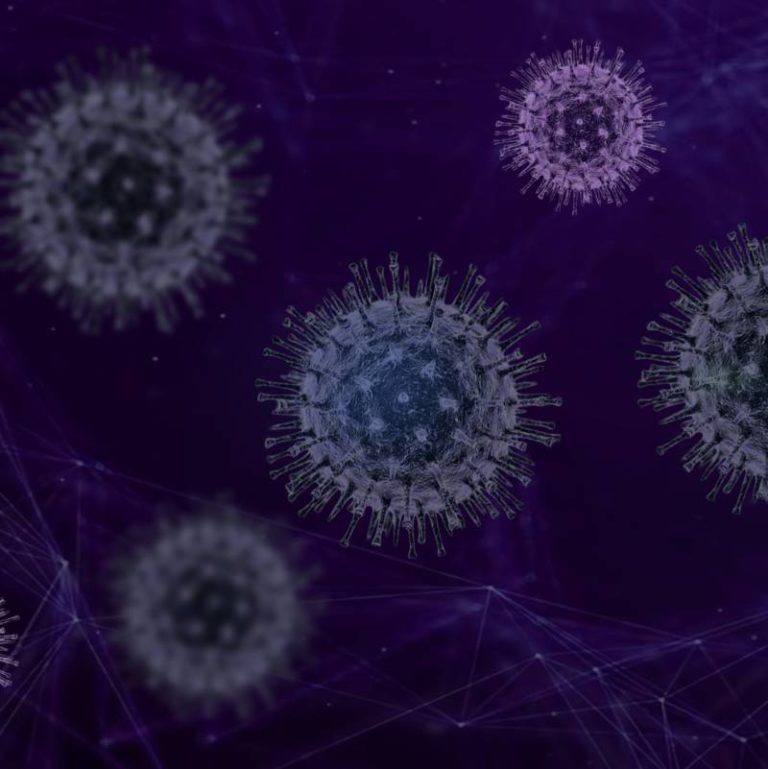 Positive COVID-19 cases confirmed at WDSS, A.A. Wright & other C-K school communities