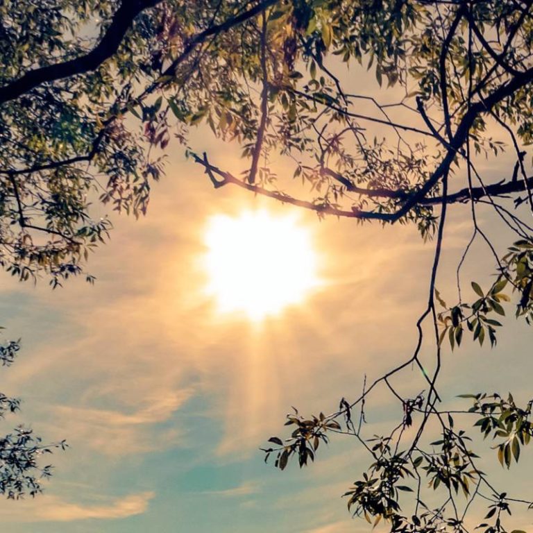 Sunny, chance of flurries, high of 5°C